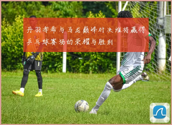 丹羽孝希与马龙巅峰对决谁将赢得乒乓球赛场的荣耀与胜利